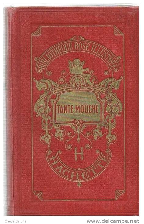 [ENFANTINA] MAGDELEINE DE GENESTOUX : TANTE MOUCHE ILLUSTRATIONS DE LOUISE IBELS 1927 - Bibliotheque Rose