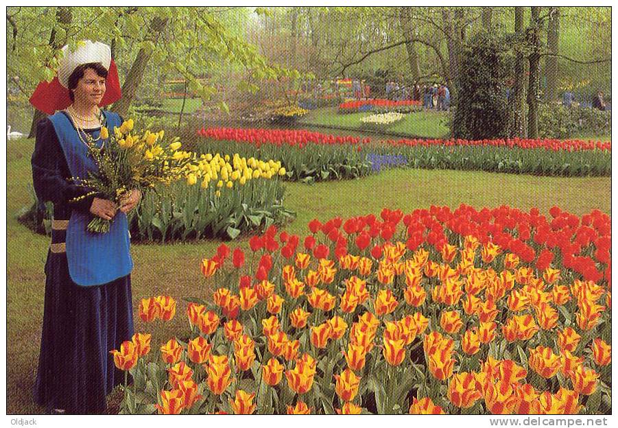 Keukenhof Lisse-Holland (tulipes) - Lisse