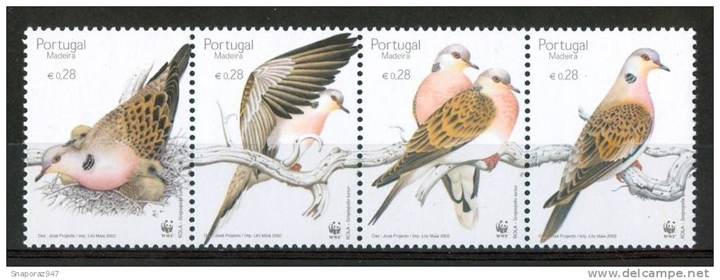 2002 Madeira WWF Uccelli Birds Vogel Oiseaux Set MNH**B247 - Madeira