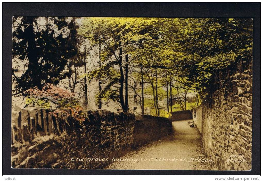 RB 828 - Frith Postcard The Groves Leading To Cathedral Brecon Wales - Breconshire