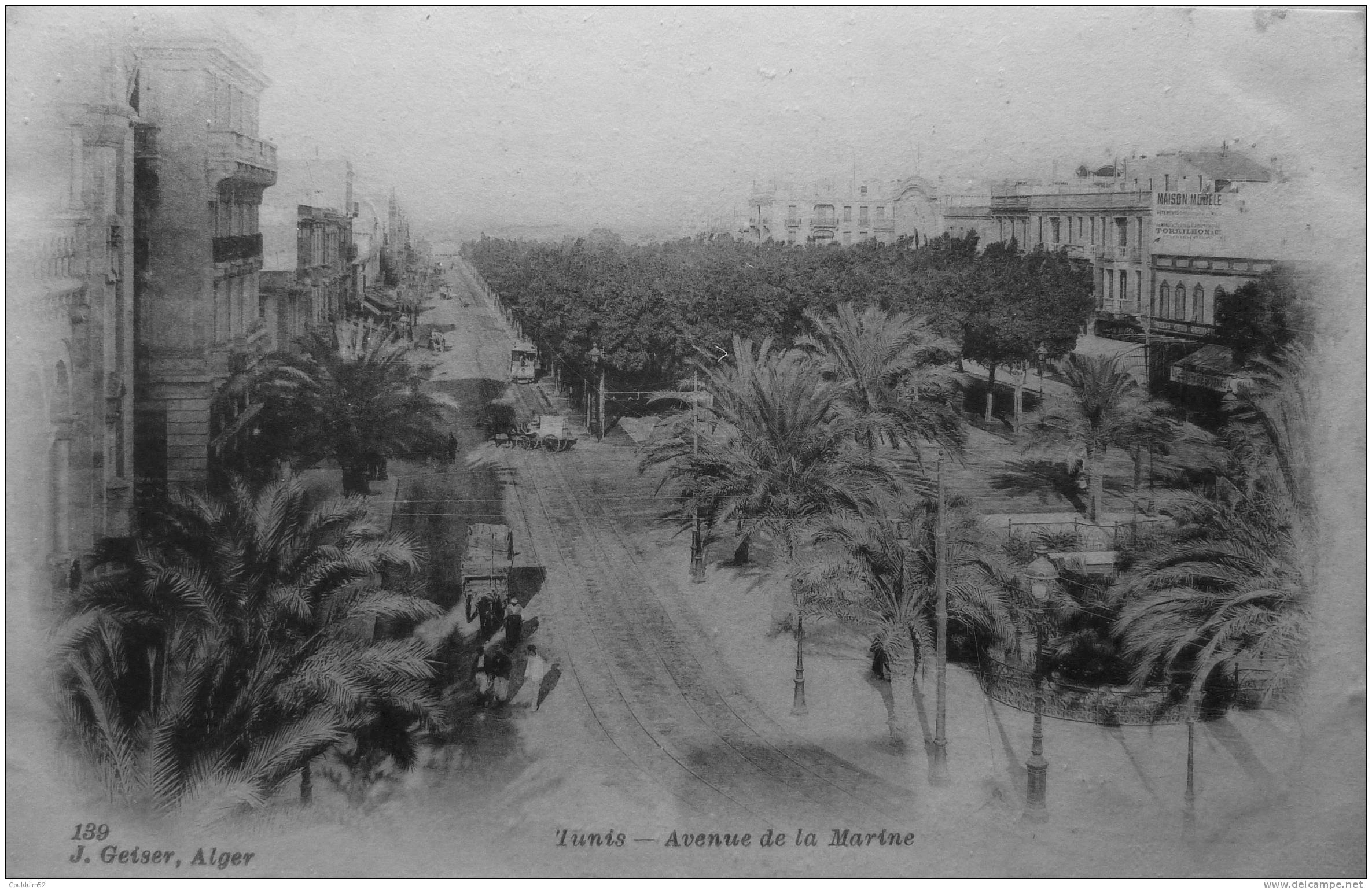 Tunis : Avenue De La Marine - Tunisie