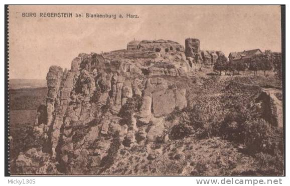 Burg Regenstein Bei Blankenburg / Harz - Karte Unbeschriftet / Card Mint (p878) - Blankenburg