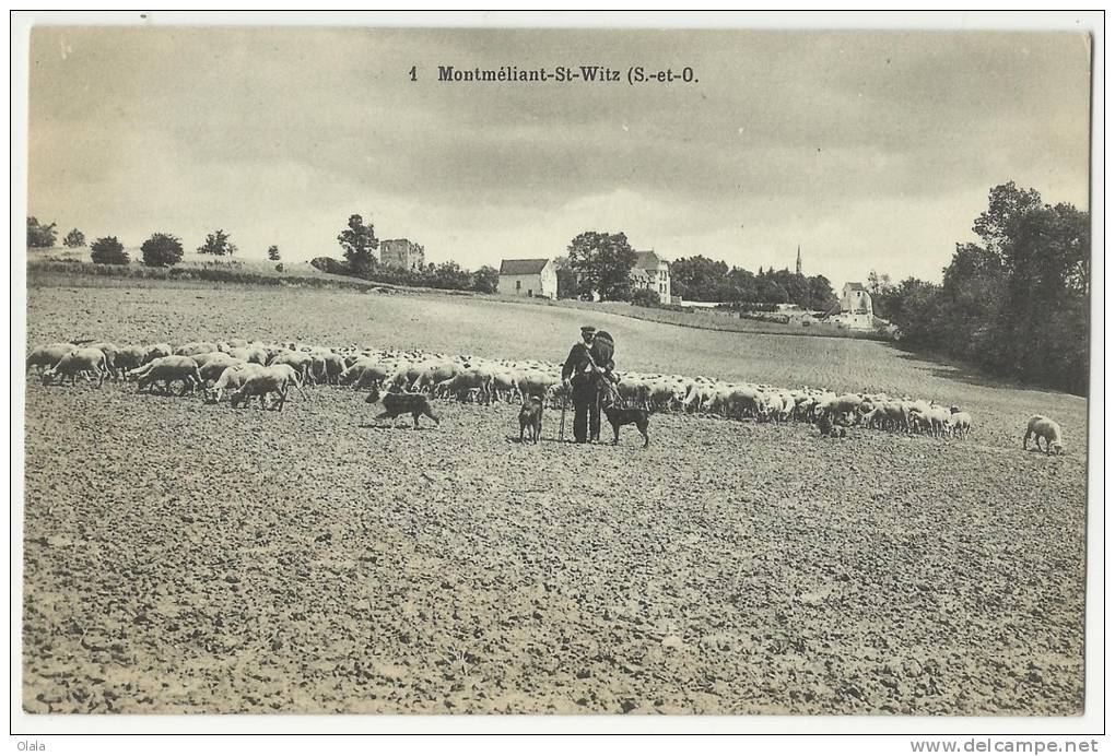 95 MONTMELIAN- ST WITZ.                  Da32 - Saint-Witz