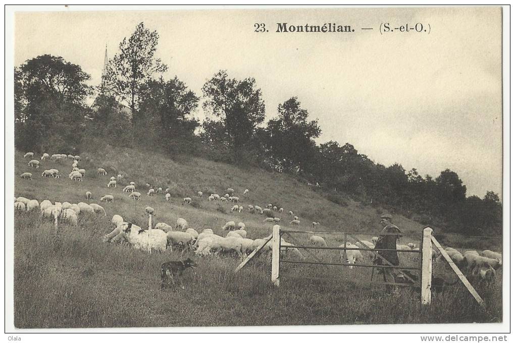 95 MONTMELIAN        Da35 - Saint-Witz