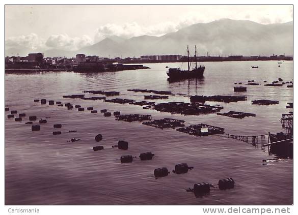 Torre Annunziata(Napoli)-Porto S. Lucio-1954 - Torre Annunziata