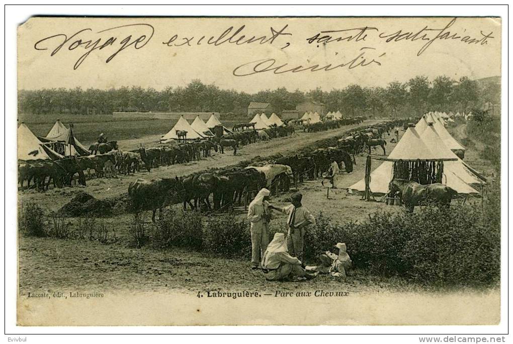 CPA 1903 Labruguière (Tarn)  Parc Aux Chevaux Campement Militaire - Labruguière