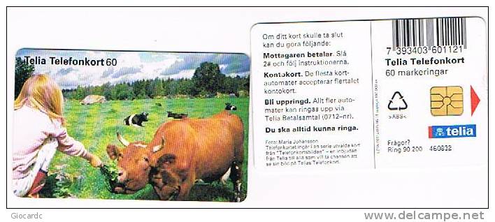 SVEZIA (SWEDEN) - TELIA  (CHIP) - 1996           ANIMALS: GIRL FEEDING COW          -  USED ° - RIF. 7646 - Mucche