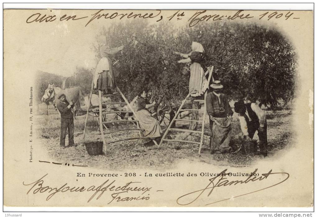 Carte Postale Ancienne Provence - La Cueillette Des Olives (l'Oulivado) - Agriculture - Autres & Non Classés