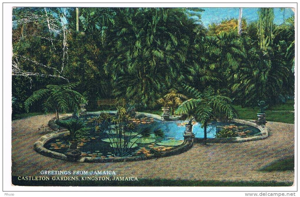 JAM-10     KINGSTON : Castleton Gardens - Giamaica
