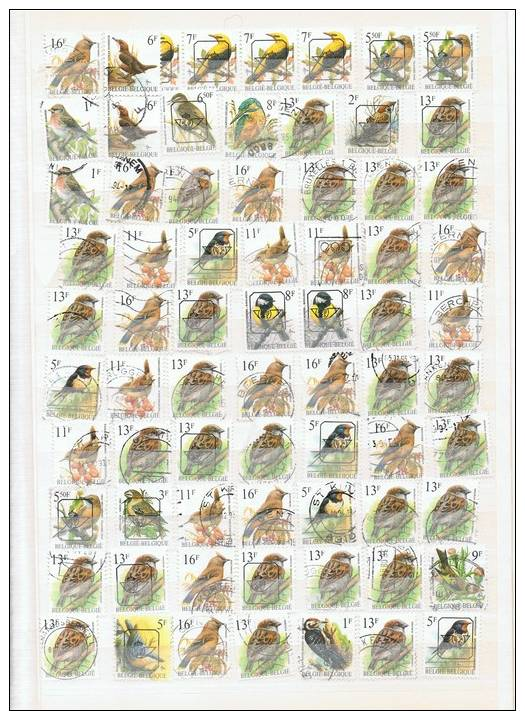 LOT OISEAUX BIRDS  VOGELTJES BUZIN  >250 Pc   Ea PREO - 1985-.. Birds (Buzin)