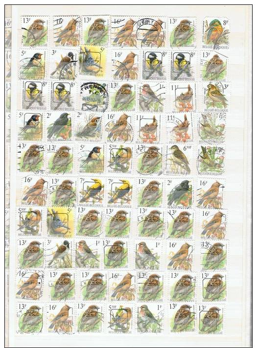 LOT OISEAUX BIRDS  VOGELTJES BUZIN  >250 Pc   Ea PREO - 1985-.. Oiseaux (Buzin)