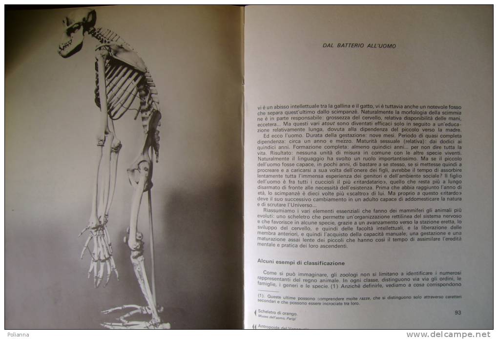 PBA/9 2 Vol. Demaziere MISTERI ORIGINI DELLA VITA Ferni 1973 - Geneeskunde, Biologie, Chemie