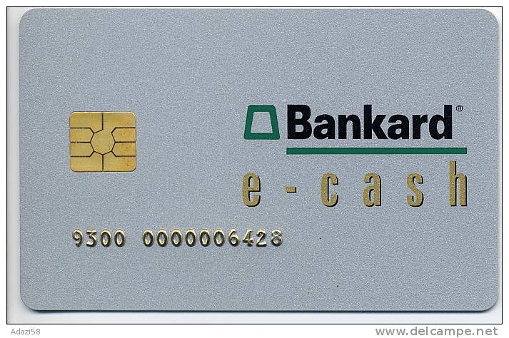 1997 PHILIPPINES E-cash Bankcard   1-st Electronic Cash Card!! RARE!! - Carte Di Credito (scadenza Min. 10 Anni)