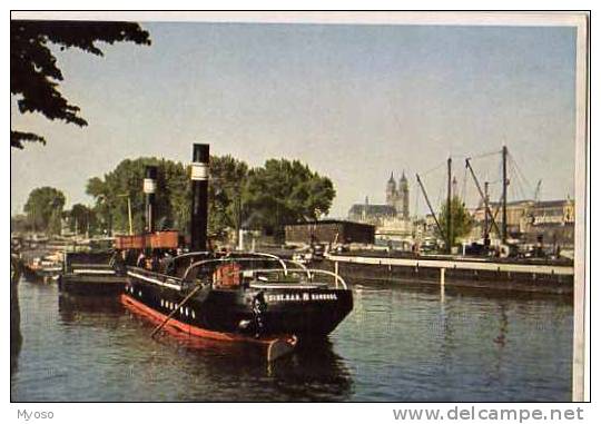 MAGDEBURG Blick Uber Den Zollhafen Auf Den Dom, Peniches, Bateaux - Magdeburg