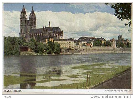 MAGDEBURG Blick Uber Die Elbe Auf Den Dom - Magdeburg