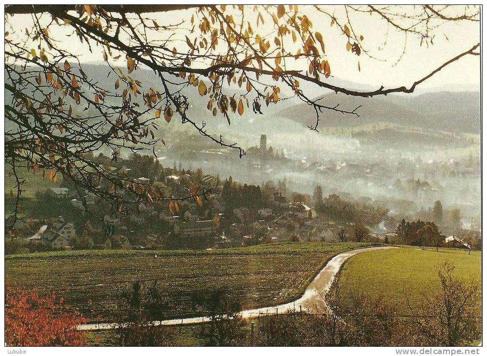 Gelterkinden - Herbstlicher Blick Vom Sonnenhof            Ca. 1980 - Gelterkinden