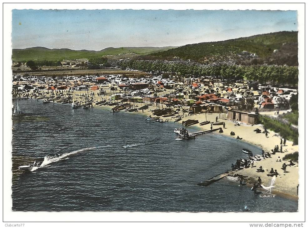 Cogolin (83) : Le Camping De La Plage De Grimond à Saint-Pons En 1950 (animée) PHOTO VERITABLE; - Cogolin