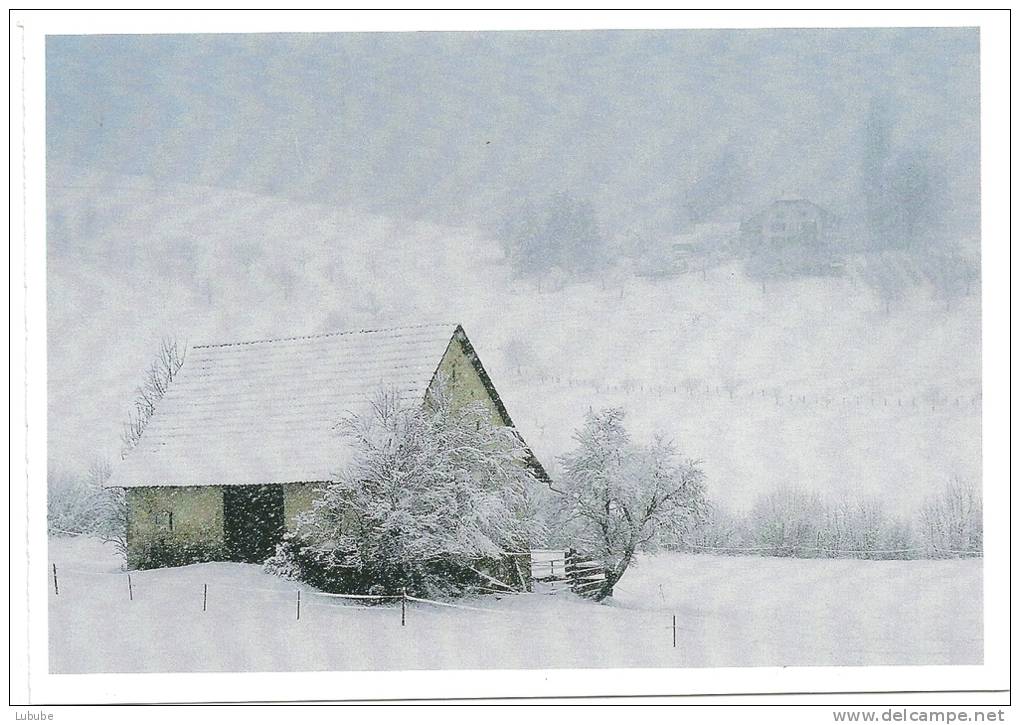 Winter Im Waldenburger Tal             Ca. 1990 - Waldenburg