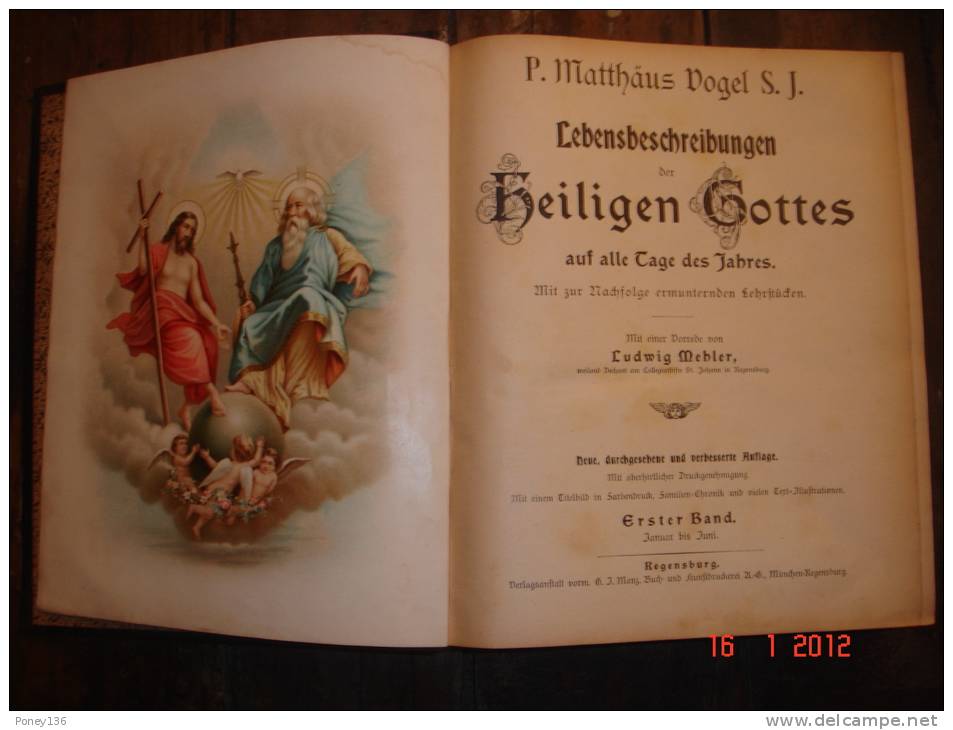 Mythologie Des Dieux Et Des Martyrs,Matthhaüs Vogel, Préface Ludwig Mehler,,caractères Gothiques 20X25,4,830 Pages - Christentum