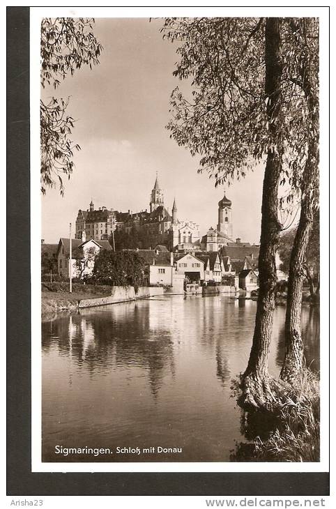 440. Germany, Sigmaringen - Schloss Mit Donau - Real Photo Postcard - Gebr. Metz - Sigmaringen