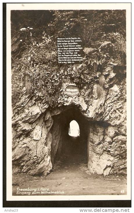 440. Germany, Treseburg I. Harz - Eingang Zum Wilhelmsblick - Thale