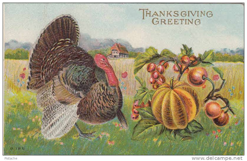 Thanksgiving Greeting - Vintage Colorful Card - Turkey - Embossed - VG Condition - Written - 2 Scans - Thanksgiving