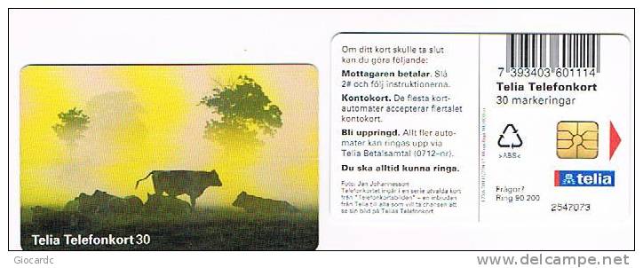 SVEZIA (SWEDEN) - TELIA  (CHIP) - 1997 ANIMALS: COWS AT DAWN               -      USED ° - RIF. 7673 - Koeien