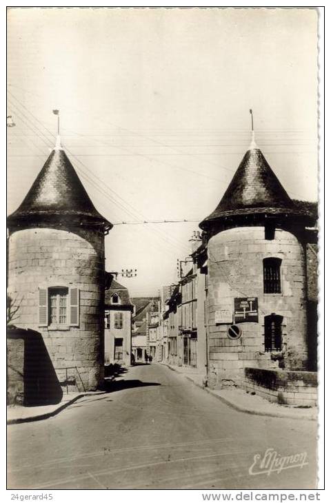 CPSM CHABLIS (Yonne) - Porte Noel Vestige Des Fortifications - Chablis