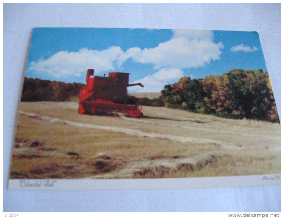 Colourful Fall.....ALBERTA  AU CANADA...TYPICAL PRAIRIE - Tractors