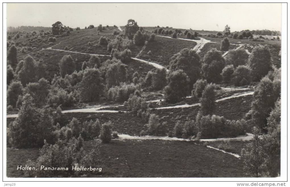 Nederland/Holland, Holten, Panorama Holterberg, 1970 - Holten