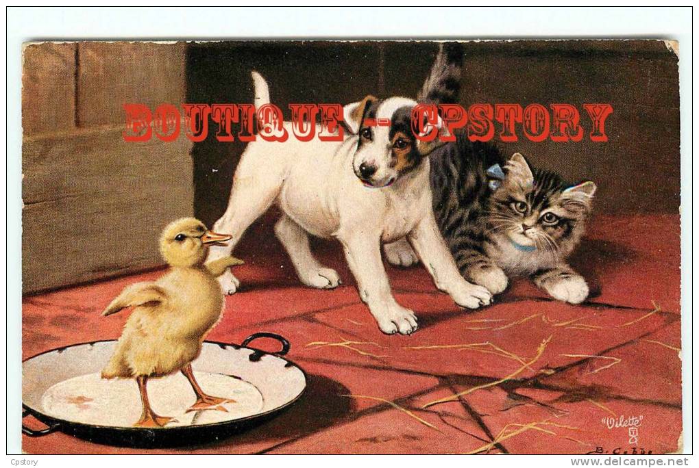TUCK  Raphael N° 896 P - Chat Et Chien Avec Un Poussin - Cat And Dog - Artist Signed Oilette - Dos Scané - Tuck, Raphael