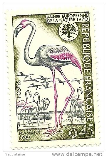 1970 - Francia 1634 Fenicotteri    ----- - Flamingo