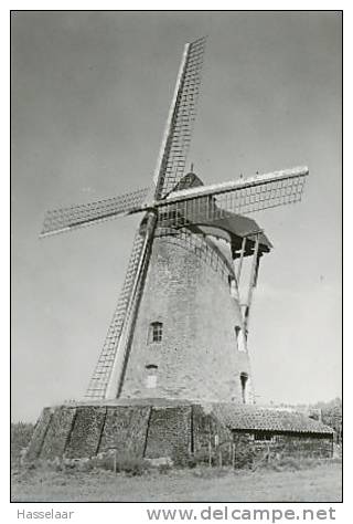 Saintes - Hondzocht - Stenen Beltkorenmolen - Tubize