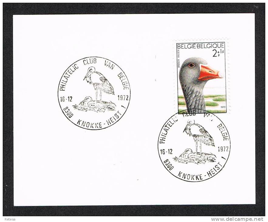 BELGIE  KAART MET SPECIALE STEMPELS KNOKKE - HEIST PHILATELIC CLUB VAN BELGIE  16-12-1972 - Herdenkingskaarten - Gezamelijke Uitgaven [HK]