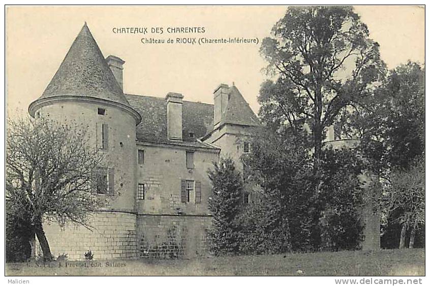 Charente Maritime -ref E109- Chateaux Des Charentes - Chateau De Rioux  - Carte Bon Etat - - Autres & Non Classés