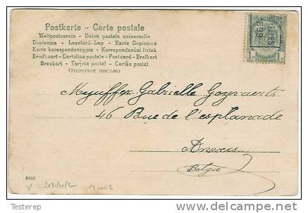 BRUXELLES 1899 TYPE B Op Fantasiekaart - Rollo De Sellos 1894-99