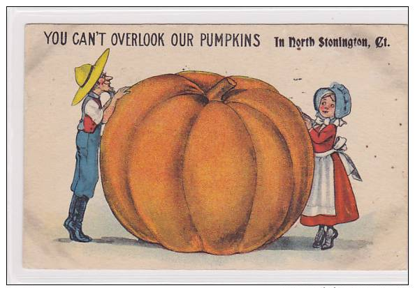 Humor, Kürbis, Citrouille, You Can't Overlook Our Pumpkins, Litho, 1915  ***70280 - Humour