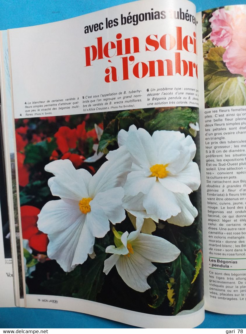 MON JARDIN Et MA MAISON N°168 De Mai 1972 Les Meubles De Jardin Les Pivoines Pelouse - Tuinieren