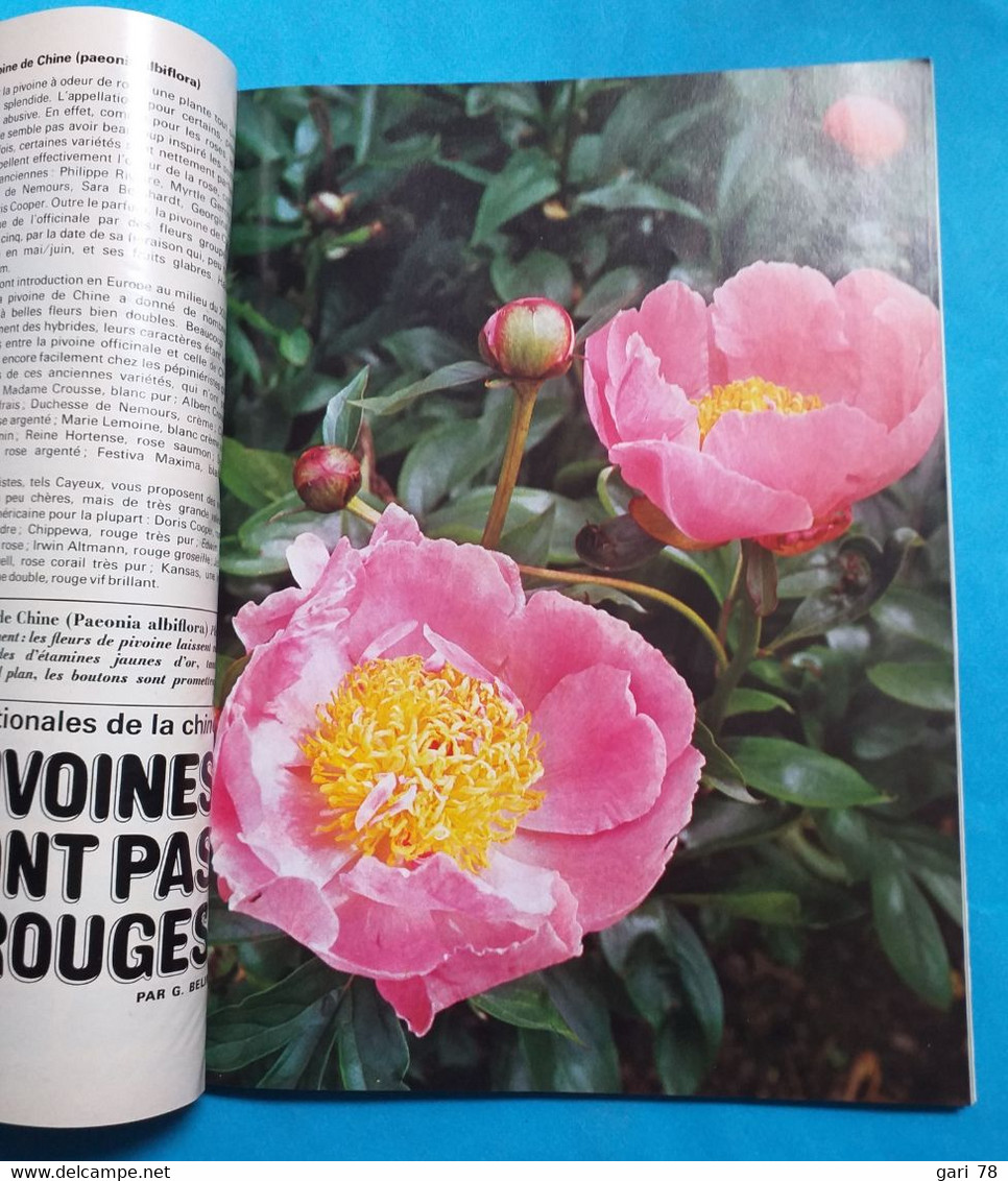 MON JARDIN Et MA MAISON N°168 De Mai 1972 Les Meubles De Jardin Les Pivoines Pelouse - Tuinieren