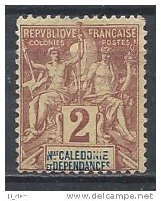 Nlle Calédonie N° 42 (*) NsG - Unused Stamps