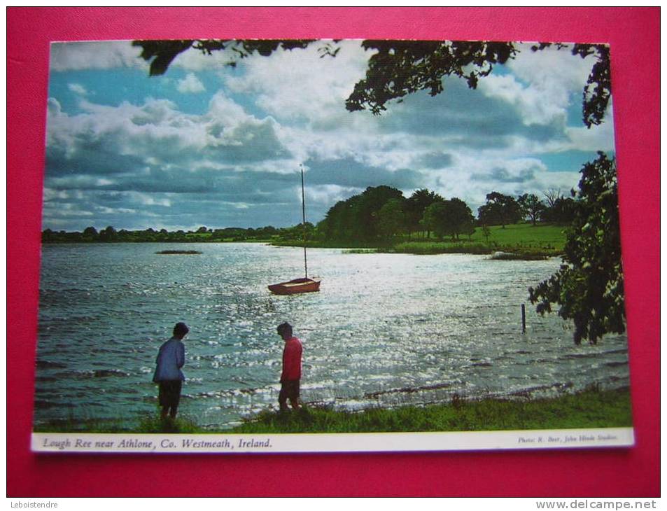 CPM IRELANDE  IRELAND LOUGH REE NEAR ATHLONE CO  WESTMEATH IRELAND ANIMEE   VOYAGEE  PHOTO RECTO / VERSO - Westmeath