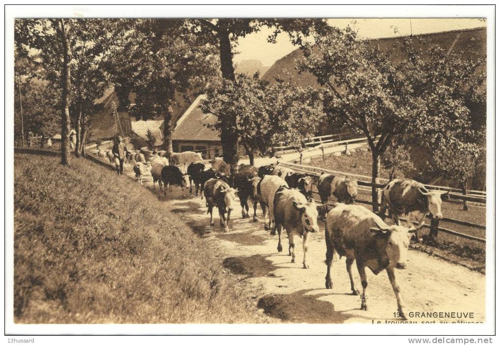 Carte Postale Ancienne Grangeneuve -Le Troupeau Sort Au Pâturage - Agriculture, Chambon Sur Lignon, Vaches - Le Chambon-sur-Lignon