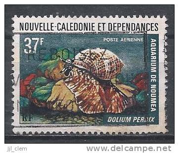 Nlle Calédonie PA N° 152  Obl. - Used Stamps