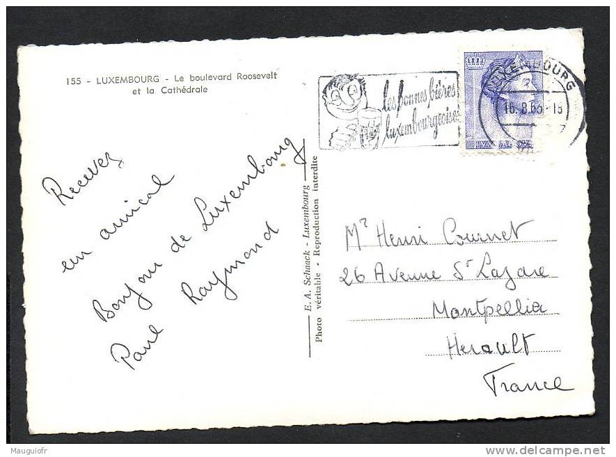 DF / LUXEMBOURG / BOISSONS / BIERE / FLAMME " LES BONNES BIERES LUXEMBOURGEOISES " 1963 SUR CARTE - POSTALE - Bières