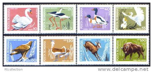 Romania 1968 Birds Bird Animals Animal Fauna Wisent Swan Geese Chamois Egret Mammals Duck Ducks Stamps Michel 2724-2731 - Canards
