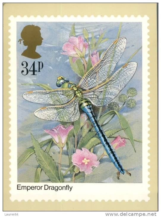 (345) Dragofly - Libellule - Insekten