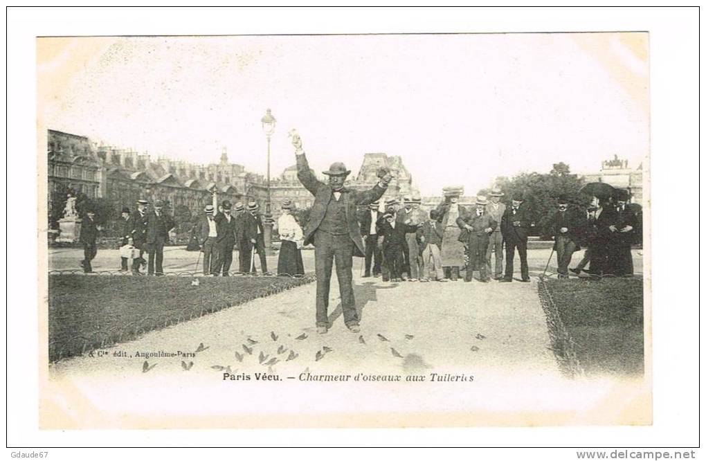 PARIS VECU - CHARMEUR D' OISEAUX AUX TUILLERIES - Autres & Non Classés