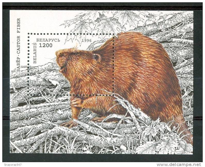 1996 Bielorussia WWF Fauna Animali Animals Animaux Castori Beavers Block MNH**B292 - Nager