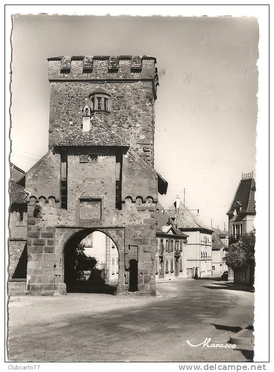 Cernay (68) : La Rue Prise De La Porte De Thann  En 1950 PHOTO VERITABLE. - Cernay