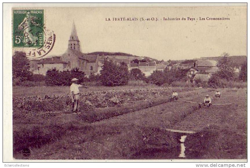 Essonne.....La Ferté Alais..Les Cressonnières - La Ferte Alais